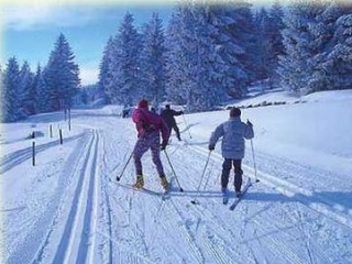  Caminamarras en familia o con amigos 